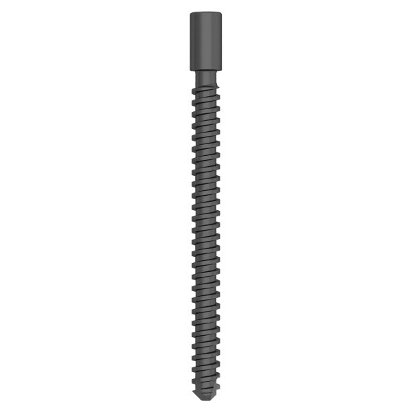 Compression Screw for Proximal Femoral Compression Nail