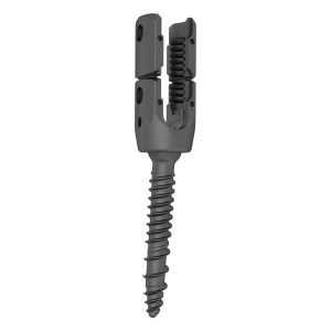 GSS I Polyaxial Reduction Screw