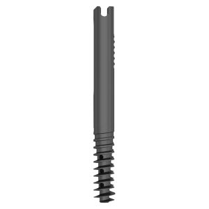 Lag Screw for Proximal Femoral Compression Nail